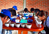Coffee Cupping, Mexico