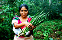 Manuela, Chiapas, Mexico